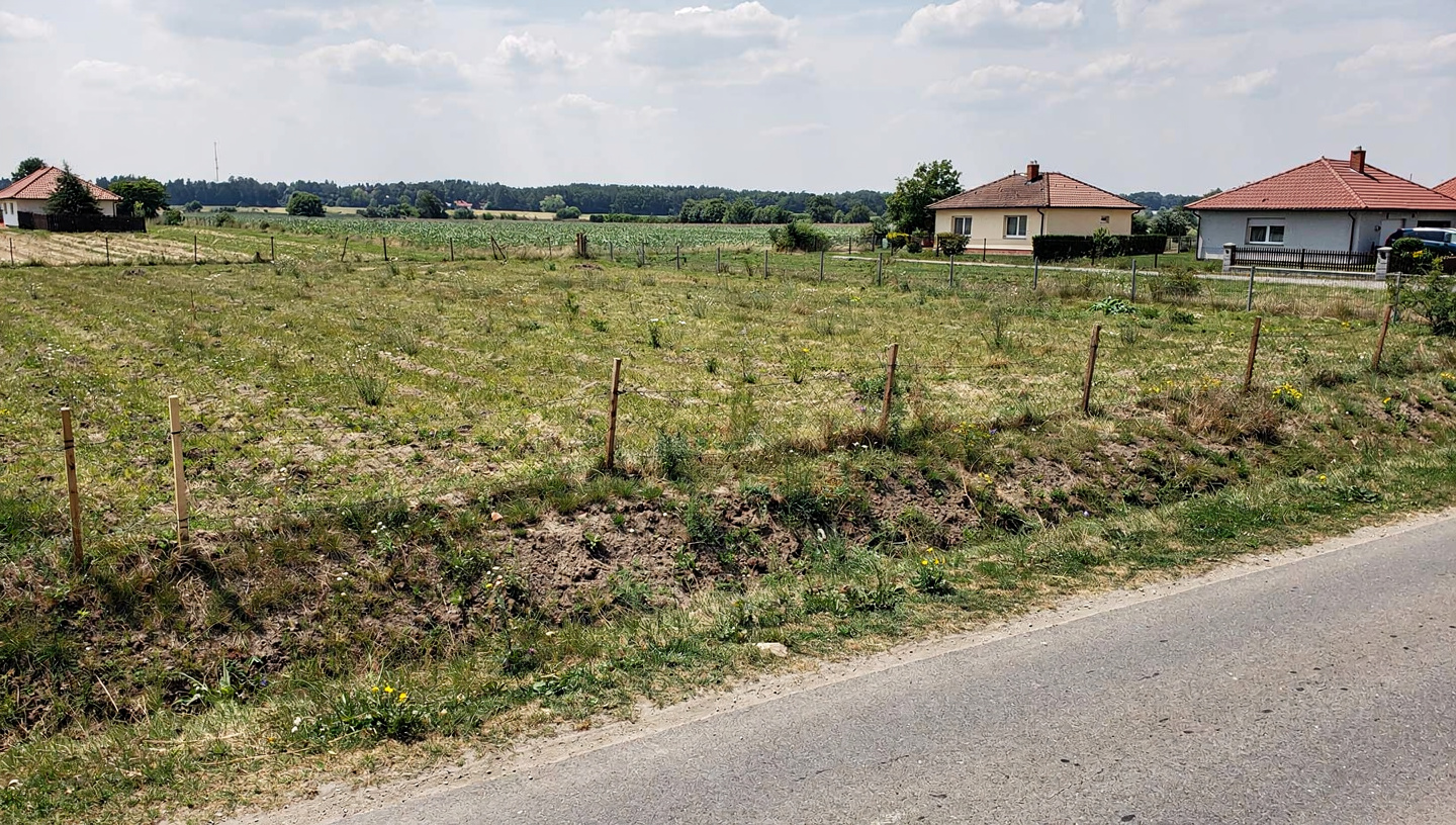 Saroktelek aszfaltos út mellett (Debrecen) — Debrecen