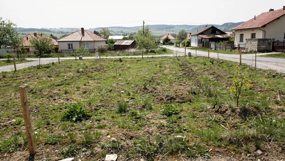 Eladó építési telek Ásotthalom vonzáskörzetében — Ásotthalom