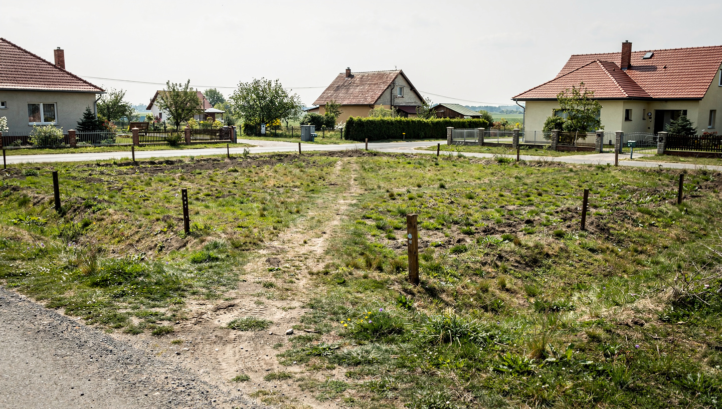 Saroktelek aszfaltos út mellett (Szeged) — Szeged